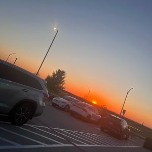 Meet your Posher, Lily